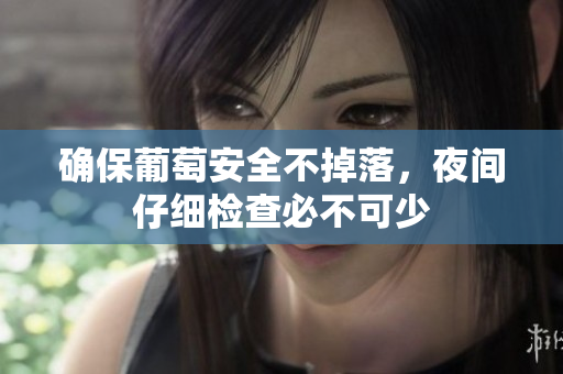 确保葡萄安全不掉落，夜间仔细检查必不可少
