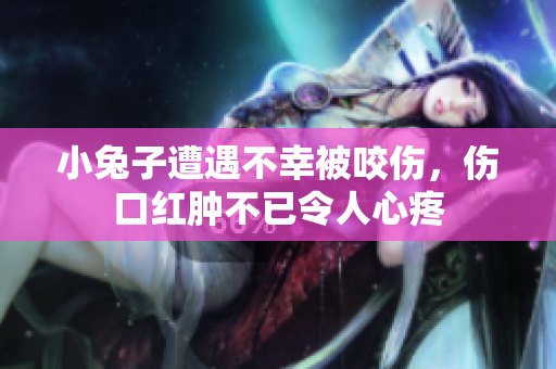 小兔子遭遇不幸被咬伤，伤口红肿不已令人心疼