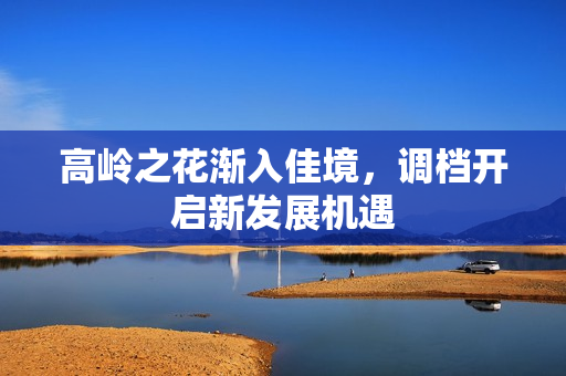 高岭之花渐入佳境，调档开启新发展机遇