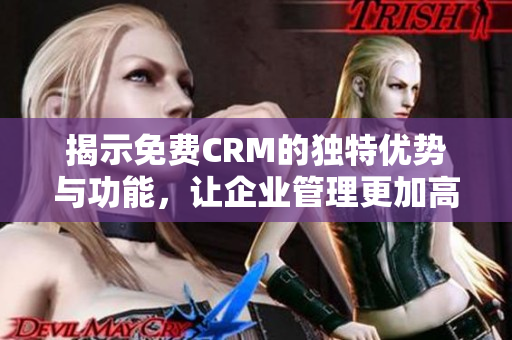 揭示免费CRM的独特优势与功能，让企业管理更加高效