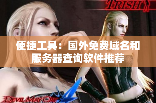 便捷工具：国外免费域名和服务器查询软件推荐