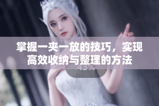 掌握一夹一放的技巧，实现高效收纳与整理的方法