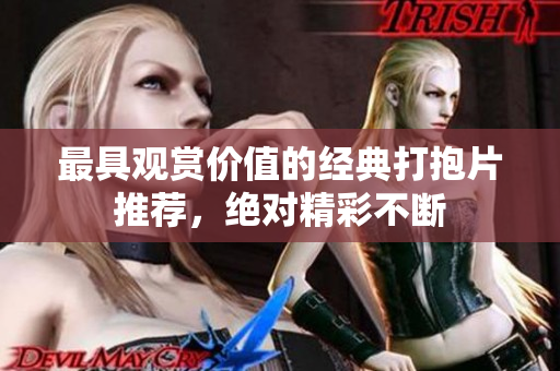 最具观赏价值的经典打抱片推荐，绝对精彩不断