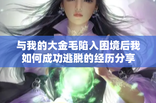 与我的大金毛陷入困境后我如何成功逃脱的经历分享