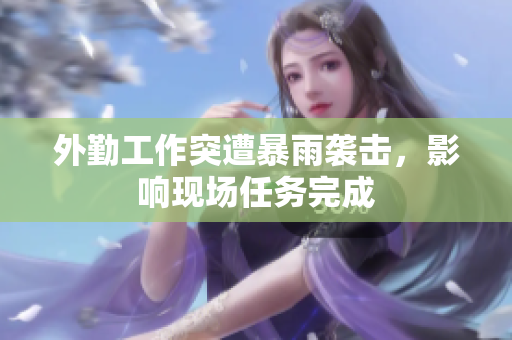 外勤工作突遭暴雨袭击，影响现场任务完成