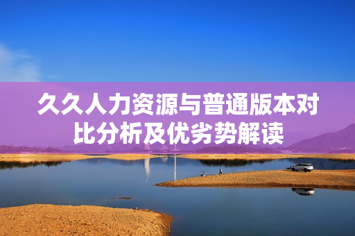 久久人力资源与普通版本对比分析及优劣势解读