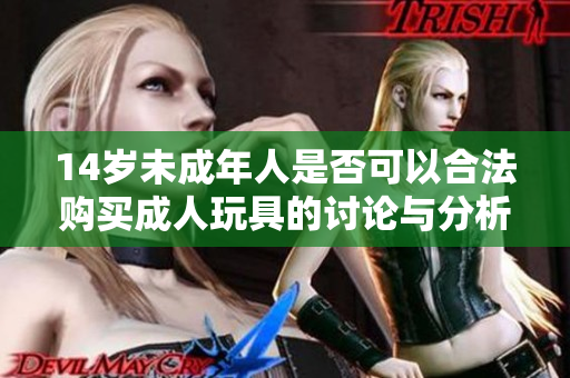 14岁未成年人是否可以合法购买成人玩具的讨论与分析
