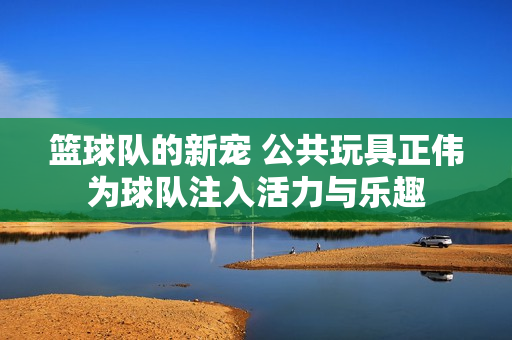 篮球队的新宠 公共玩具正伟为球队注入活力与乐趣