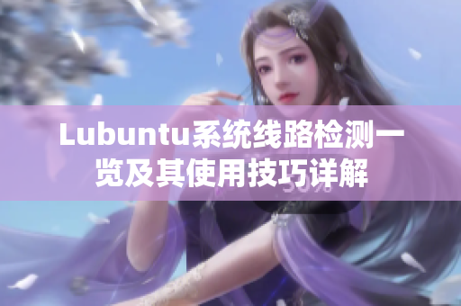 Lubuntu系统线路检测一览及其使用技巧详解