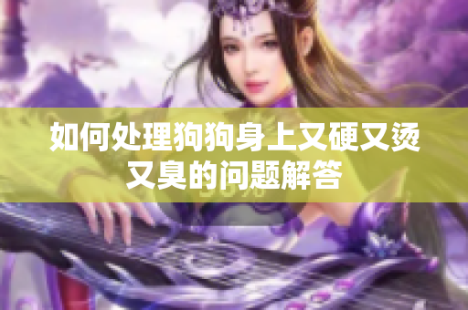 如何处理狗狗身上又硬又烫又臭的问题解答