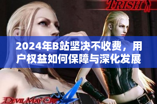 2024年B站坚决不收费，用户权益如何保障与深化发展措施探讨