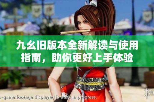 九幺旧版本全新解读与使用指南，助你更好上手体验