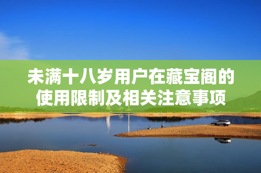 未满十八岁用户在藏宝阁的使用限制及相关注意事项