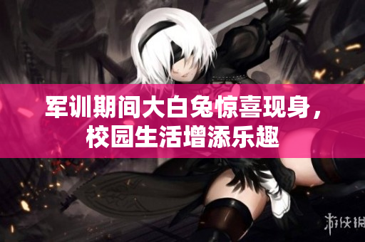 军训期间大白兔惊喜现身，校园生活增添乐趣