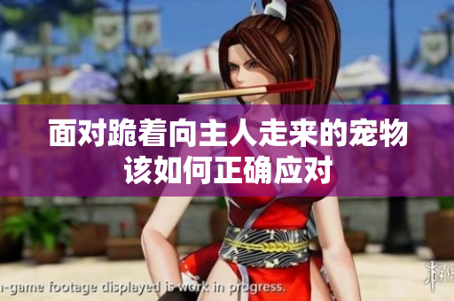 面对跪着向主人走来的宠物该如何正确应对