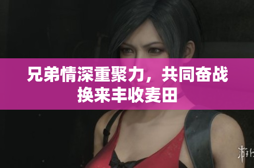 兄弟情深重聚力，共同奋战换来丰收麦田