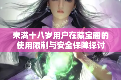 未满十八岁用户在藏宝阁的使用限制与安全保障探讨
