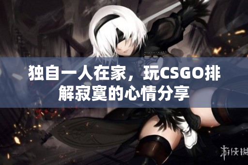 独自一人在家，玩CSGO排解寂寞的心情分享