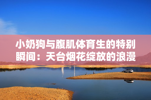 小奶狗与腹肌体育生的特别瞬间：天台烟花绽放的浪漫故事