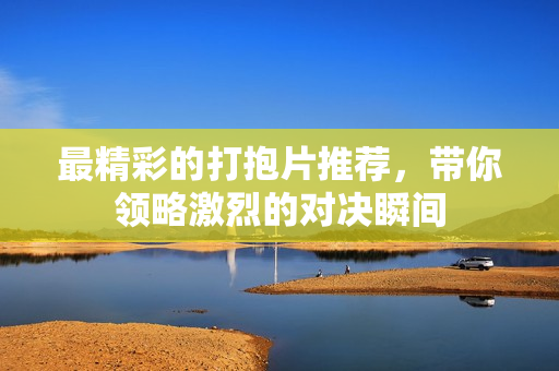 最精彩的打抱片推荐，带你领略激烈的对决瞬间