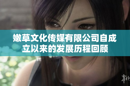 嫩草文化传媒有限公司自成立以来的发展历程回顾