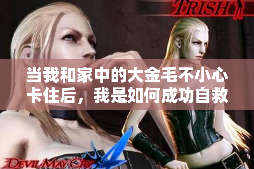 当我和家中的大金毛不小心卡住后，我是如何成功自救的
