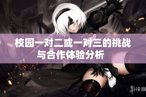 校园一对二或一对三的挑战与合作体验分析  