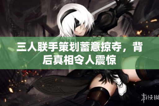 三人联手策划蓄意掠夺，背后真相令人震惊