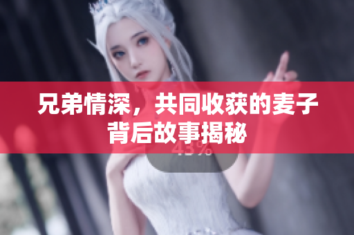 兄弟情深，共同收获的麦子背后故事揭秘