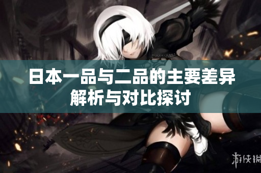 日本一品与二品的主要差异解析与对比探讨