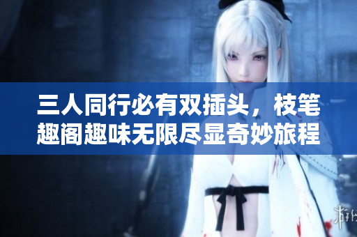 三人同行必有双插头，枝笔趣阁趣味无限尽显奇妙旅程