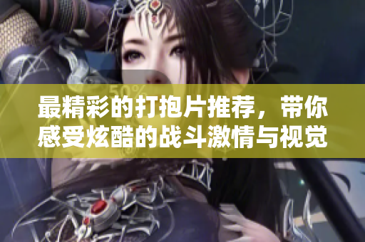 最精彩的打抱片推荐，带你感受炫酷的战斗激情与视觉盛宴