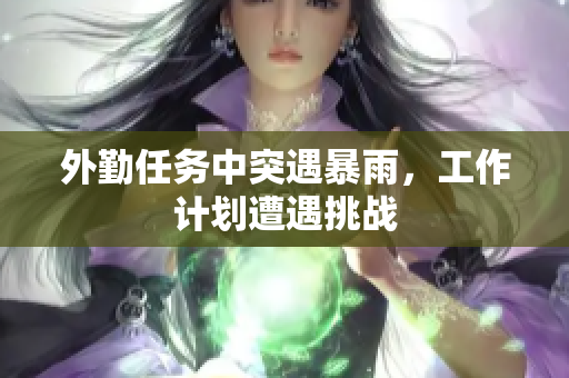 外勤任务中突遇暴雨，工作计划遭遇挑战
