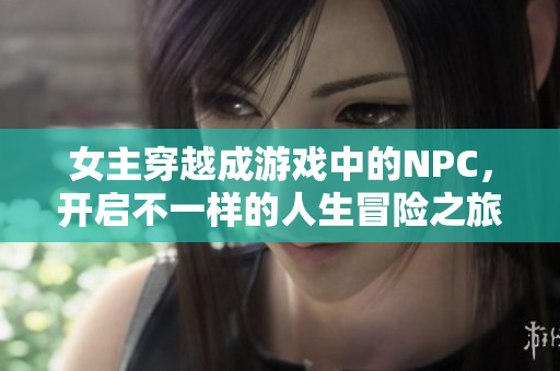 女主穿越成游戏中的NPC，开启不一样的人生冒险之旅