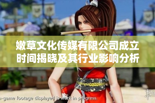 嫩草文化传媒有限公司成立时间揭晓及其行业影响分析