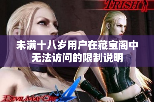 未满十八岁用户在藏宝阁中无法访问的限制说明