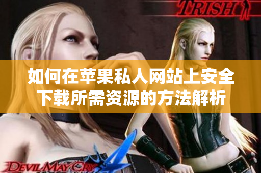 如何在苹果私人网站上安全下载所需资源的方法解析