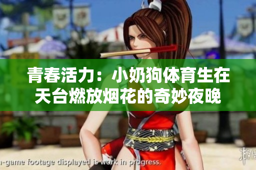 青春活力：小奶狗体育生在天台燃放烟花的奇妙夜晚