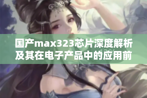 国产max323芯片深度解析及其在电子产品中的应用前景