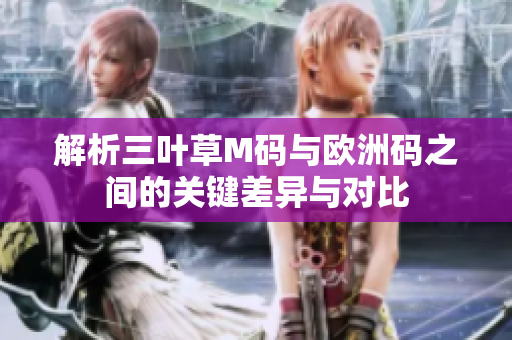 解析三叶草M码与欧洲码之间的关键差异与对比