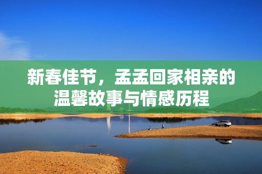 新春佳节，孟孟回家相亲的温馨故事与情感历程