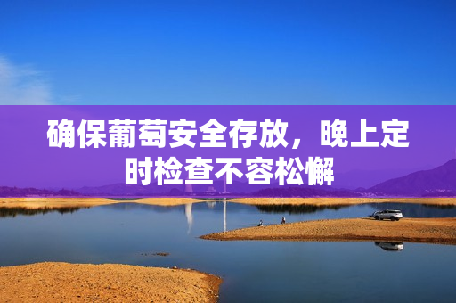 确保葡萄安全存放，晚上定时检查不容松懈