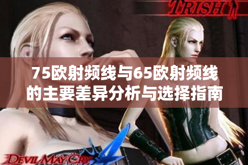 75欧射频线与65欧射频线的主要差异分析与选择指南