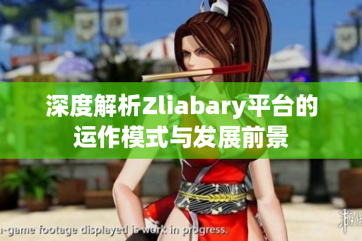 深度解析Zliabary平台的运作模式与发展前景