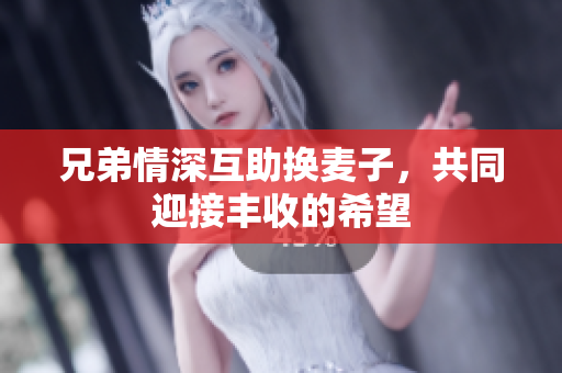 兄弟情深互助换麦子，共同迎接丰收的希望