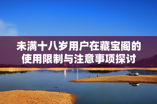 未满十八岁用户在藏宝阁的使用限制与注意事项探讨
