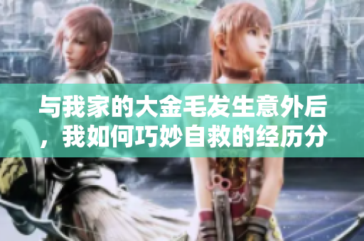 与我家的大金毛发生意外后，我如何巧妙自救的经历分享