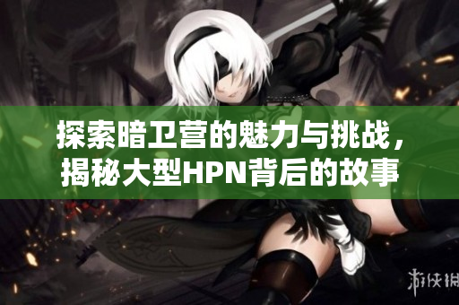 探索暗卫营的魅力与挑战，揭秘大型HPN背后的故事