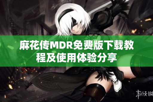 麻花传MDR免费版下载教程及使用体验分享