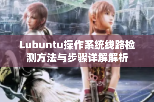 Lubuntu操作系统线路检测方法与步骤详解解析